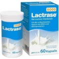 LACTRASE 6000 FCC (60 capsule)
