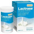 LACTRASE 6000 FCC (100 capsule)